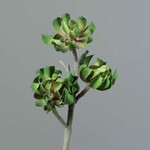 Sztuczna roślina/kwiat Soczysty, zielony, 43cm|Ego Dekor