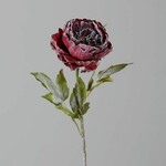 Kvetina umelá Pivonka, červená zasnežená, 77cm|Ego Dekor