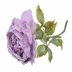 Kvetina umelá Pivonka, fialová zasnežená, 77cm|Ego Dekor