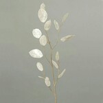 Artificial plant/flower Lunaria, white, 86cm|Ego Dekor