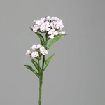 Květina umělá Hvozdík, bílá-růžová, 60cm|Ego Dekor