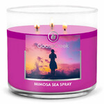 Candle 0.41 KG MIMOSA SEA SPRAY, aromatic in a jar, 3 wicks|Goose Creek