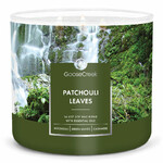 Candle 0.41 KG PATCHOULI LEAVES, aromatic in a jar, 3 wicks|Goose Creek