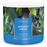 Candle 0.41 KG BLUEBERRY LIMEADE, aromatic in a jar, 3 wicks|Goose Creek