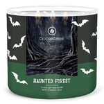 HALLOWEEN candle 0.41 KG HAUNTED FOREST, aromatic in a jar, 3 wicks|Goose Creek