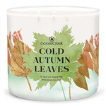 Candle 0.41 KG COLD AUTUMN LEAVES, aromatic in a jar, 3 wicks|Goose Creek
