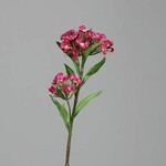 Sztuczny kwiat Gwiazda, różowy, 60cm|Ego Dekor