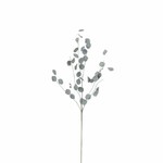 EGO DEKOR JJ Květina penízek sušená FLOWEE, šedá, pr.10x72cm