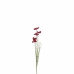 EGO DEKOR JJ Květina mák sušený FLOWEE, červená, pr.10x53cm