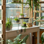 Stojan na parapet WINDOW DRESSING, na kvety, pr.24x24cm, nastaviteľný, zelená|Esschert Design