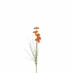 EGO DEKOR JJ Květina mák sušený FLOWEE, oranžová, pr.10x53cm