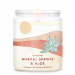 Candle with 1-wick 0.2 KG MINERAL SPRINGS & ALOE, aromatic in a jar KP|Goose Creek