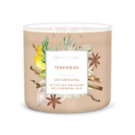 Candle 0.41 KG TEAKWOOD, ANTIODOR, aromatic in a jar, 3 wicks|Goose Creek
