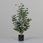 Sztuczny kwiat Bonsai Eukaliptus w doniczce plastikowej czarnej, 60 cm, tekstylny, zielony, (opakowanie zawiera 1 szt.)|DPI|Ego Dekor