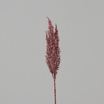 Kortadérie sztuczny kwiat trawy pampasowej, 80cm, tekstylny, metaliczny/różowy, (opakowanie zawiera 1 sztukę)|DPI|Ego Dekor