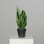 Květina umělá Tchýnin jazyk Sanseveria v černém plastovém květináči, 40cm, plast, zelená, (balení obsahuje 1ks)|DPI|Ego Dekor