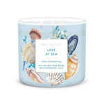 Candle 0.41 KG LOST AT SEA, ANTIODOR, aromatic in a jar, 3 wicks|Goose Creek