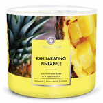 Candle 0.41 KG EXHILARATING PINEAPPLE, aromatic in a jar, 3 wicks|Goose Creek