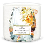 Candle 0.41 KG SPICED FALLEN LEAVES, aromatic in a jar, 3 wicks|Goose Creek