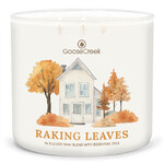 Candle 0.41 KG RAKING LEAVES, aromatic in a jar, 3 wicks|Goose Creek