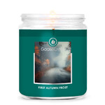 Candle with 1-wick 0.2 KG FIRST AUTUMN FROST, aromatic in a jar KP|Goose Creek