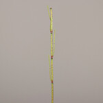 Dekoracja Skrzydełka, zielone, 115cm|Ego Dekor