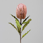 Protea flower, pink, 65cm|Ego Dekor