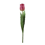 TULIP flower, dark pink, 60cm|Ego Dekor