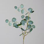 Decoration Eucalyptus, green, 110cm|Ego Dekor