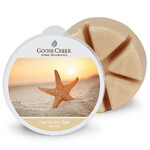 Day In The Sun wax, 59g, for aroma lamp (Day In The Sun)|Goose Creek