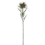 Kvetina Protea, zelená, 71 cm | Ego Dekor